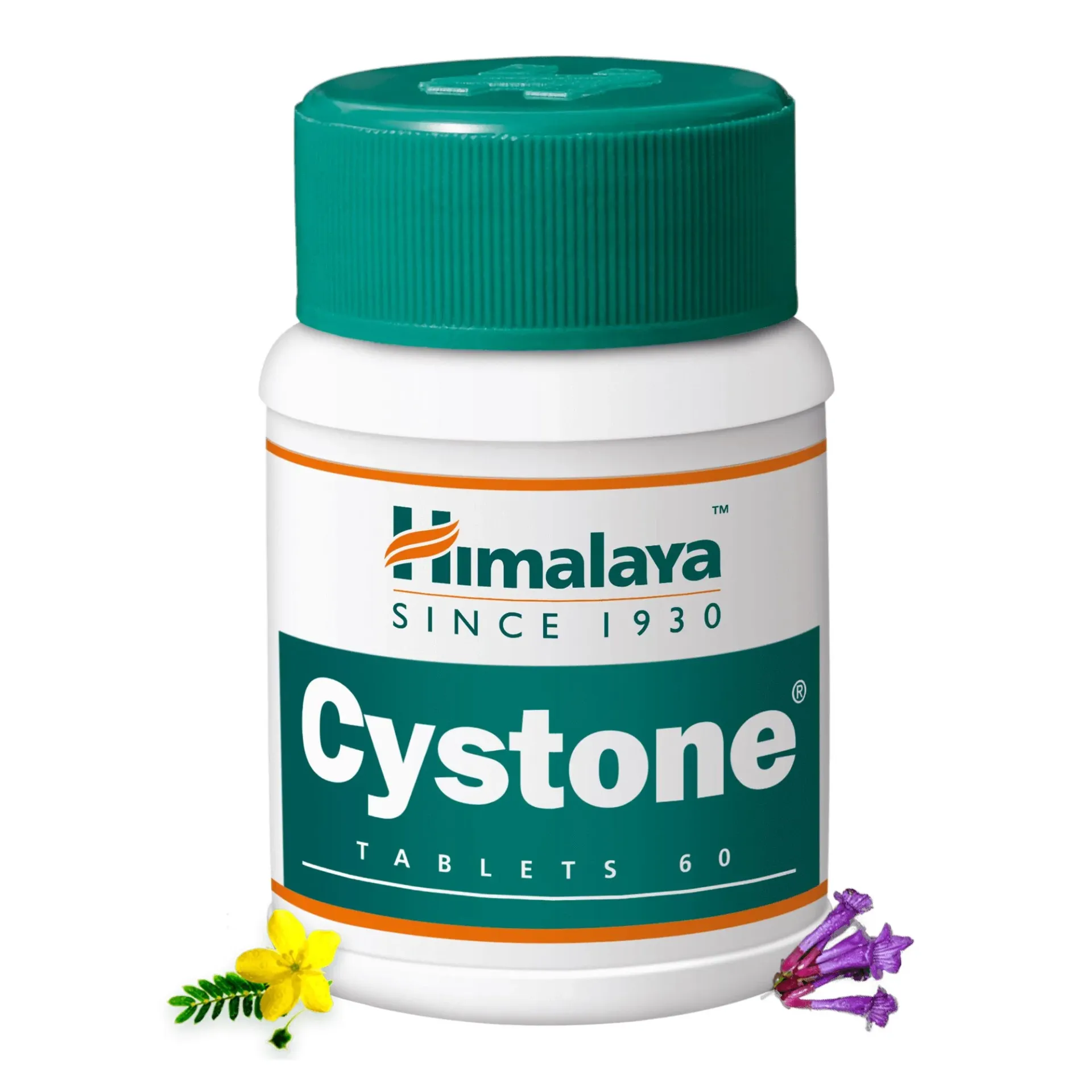 HIMALAYA 100'S CYSTONE TAB